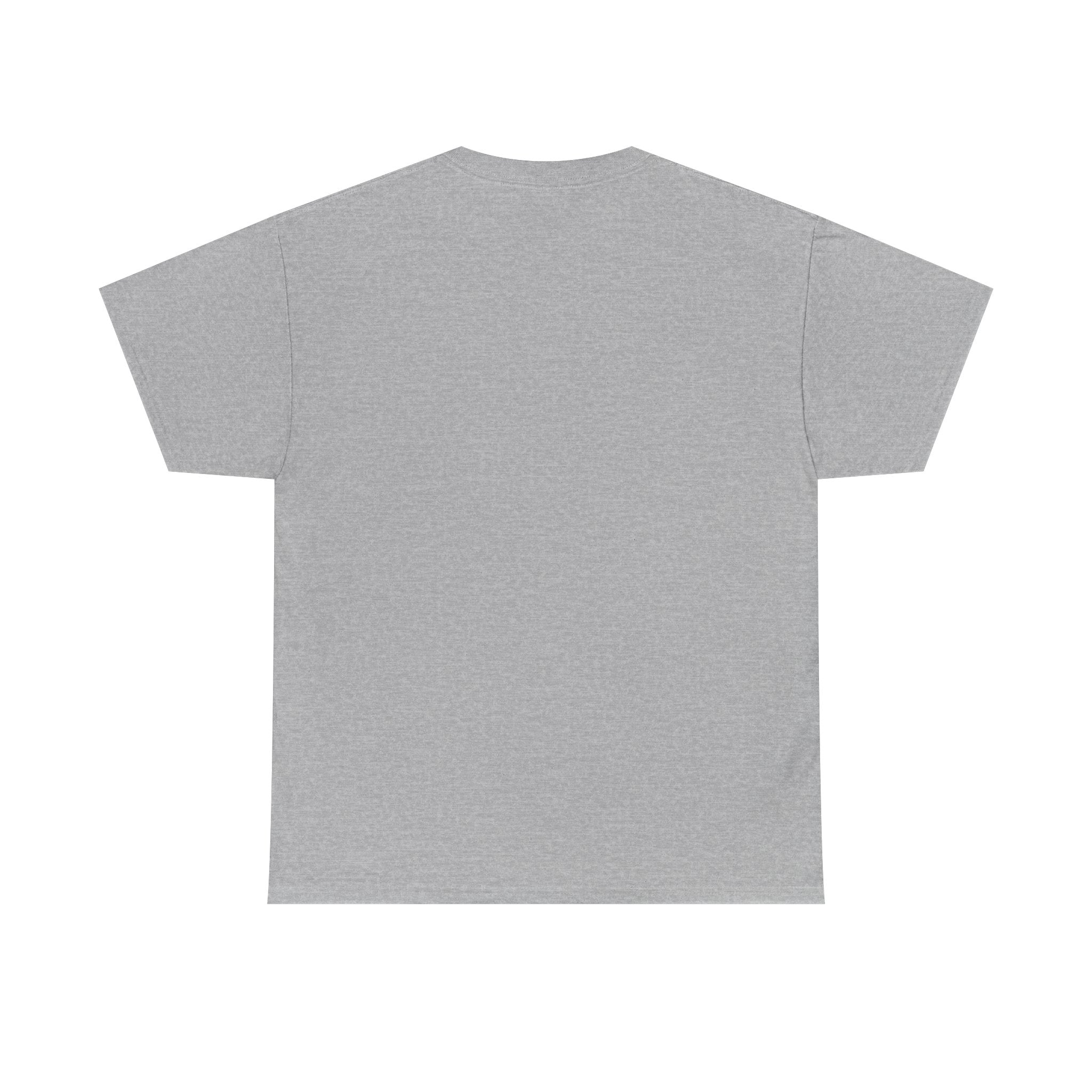 Funny Unisex Heavy Cotton Tee - "1-800 Choke A Hoe"