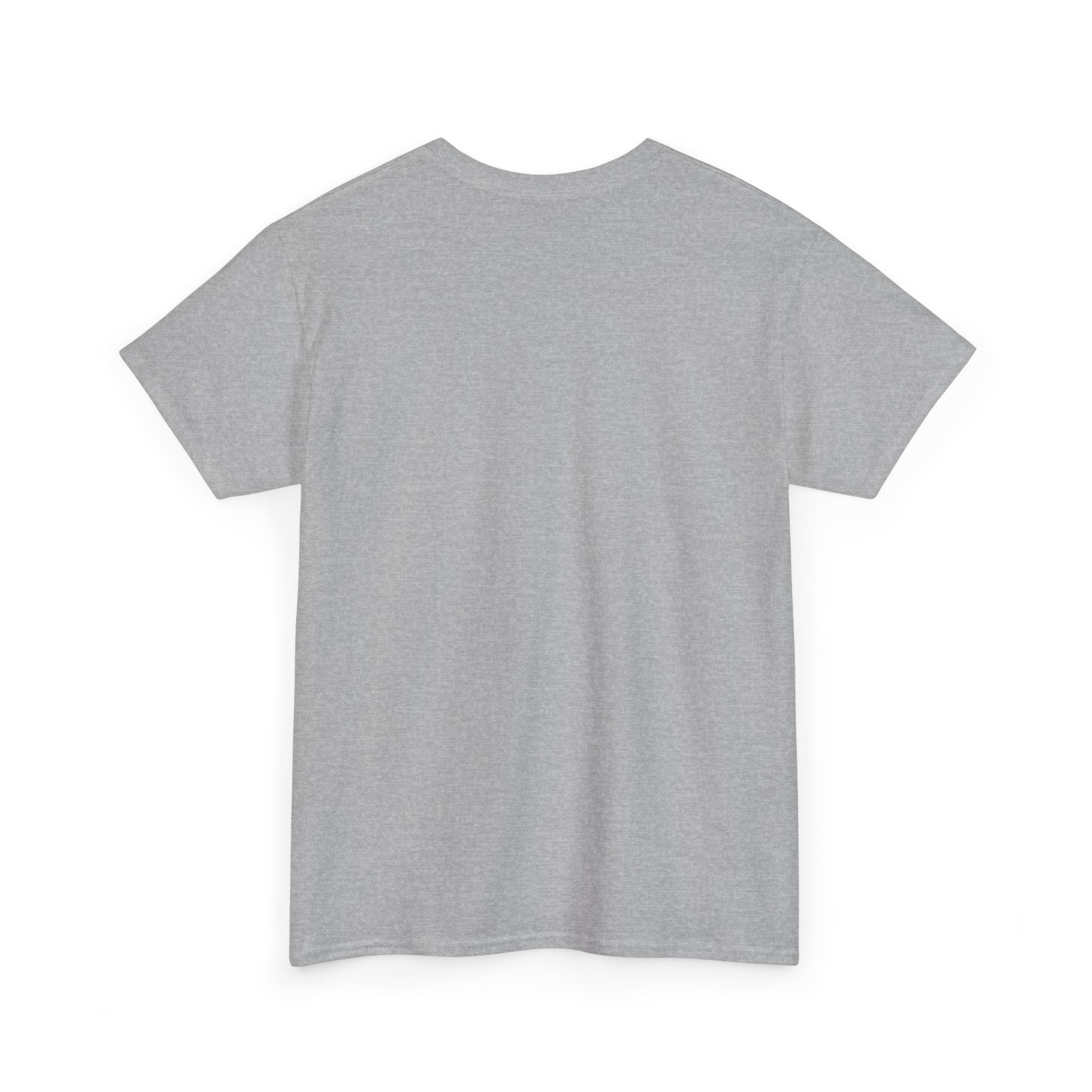 Funny Unisex Heavy Cotton Tee - "1-800 Choke A Hoe"