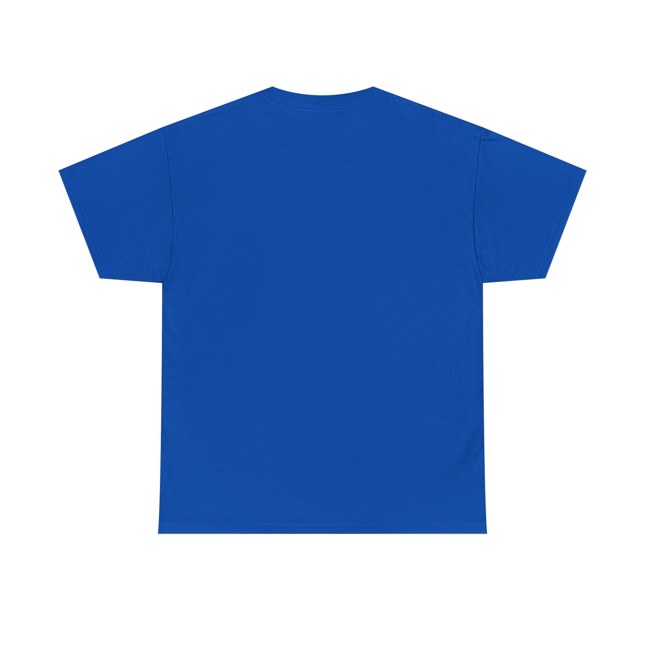 Gaming Vibes Unisex Heavy Cotton Tee - 'Loading... Blame It on Lag'