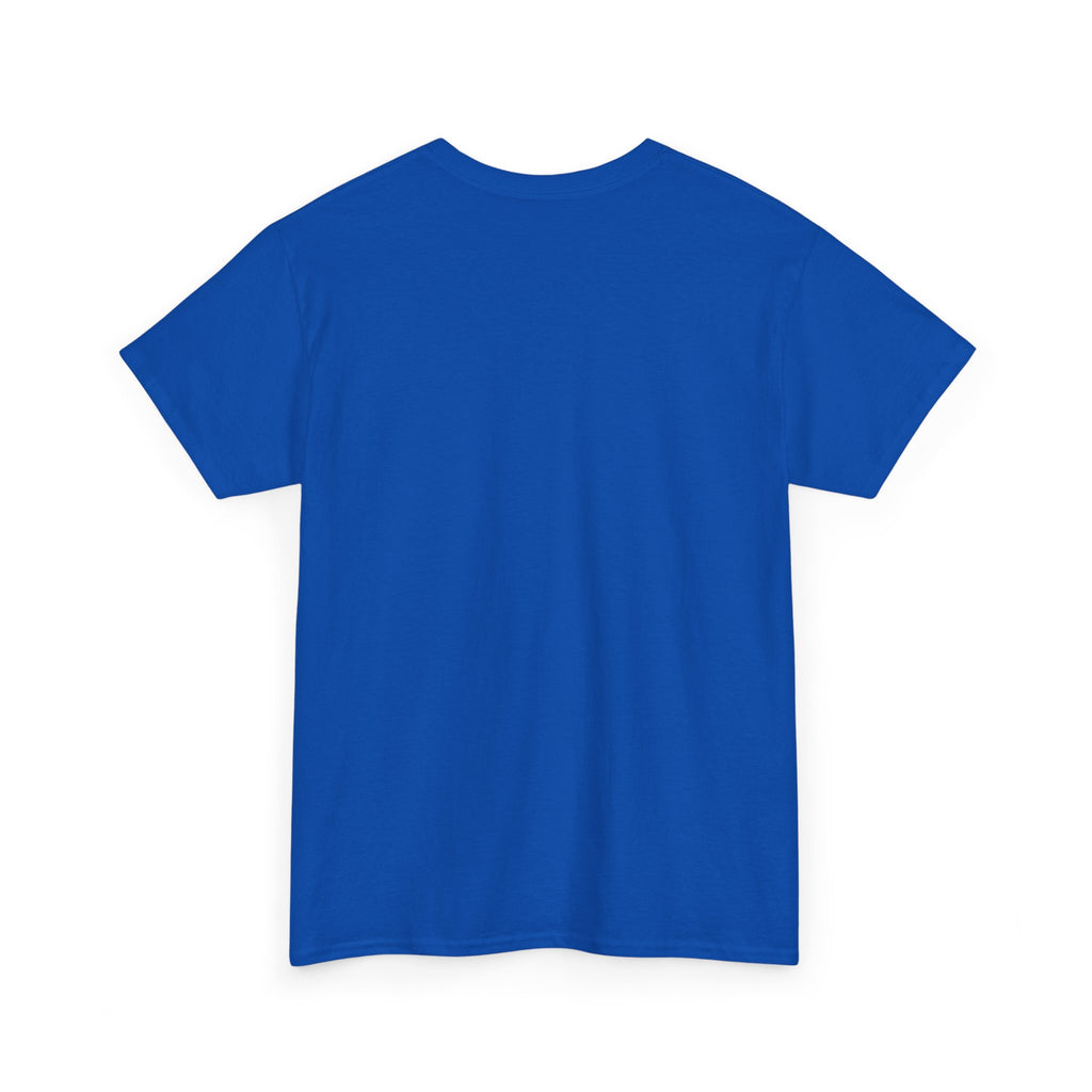 Gaming Vibes Unisex Heavy Cotton Tee - 'Loading... Blame It on Lag'