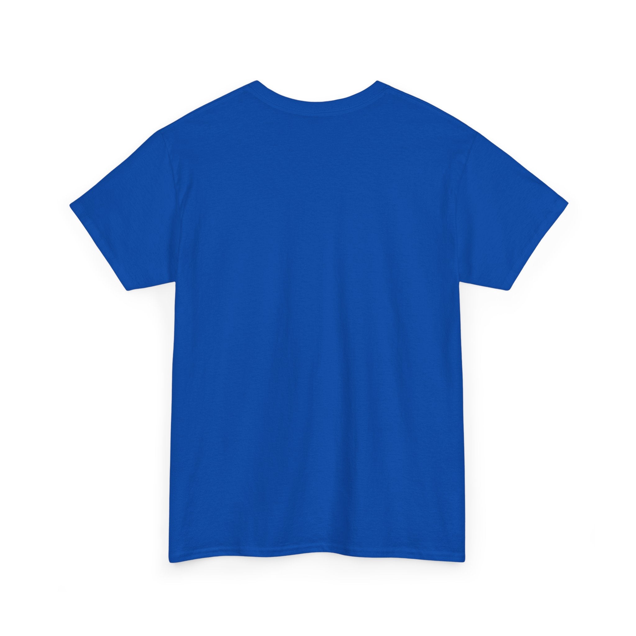 Gaming Vibes Unisex Heavy Cotton Tee - 'Loading... Blame It on Lag'